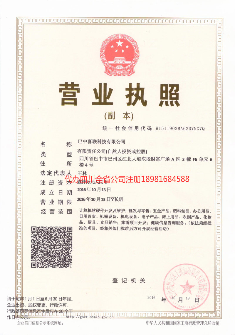 广水广水喜联科技有限公司